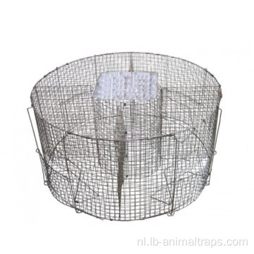 Plastic anti vogel spikes duif aflossende strips
